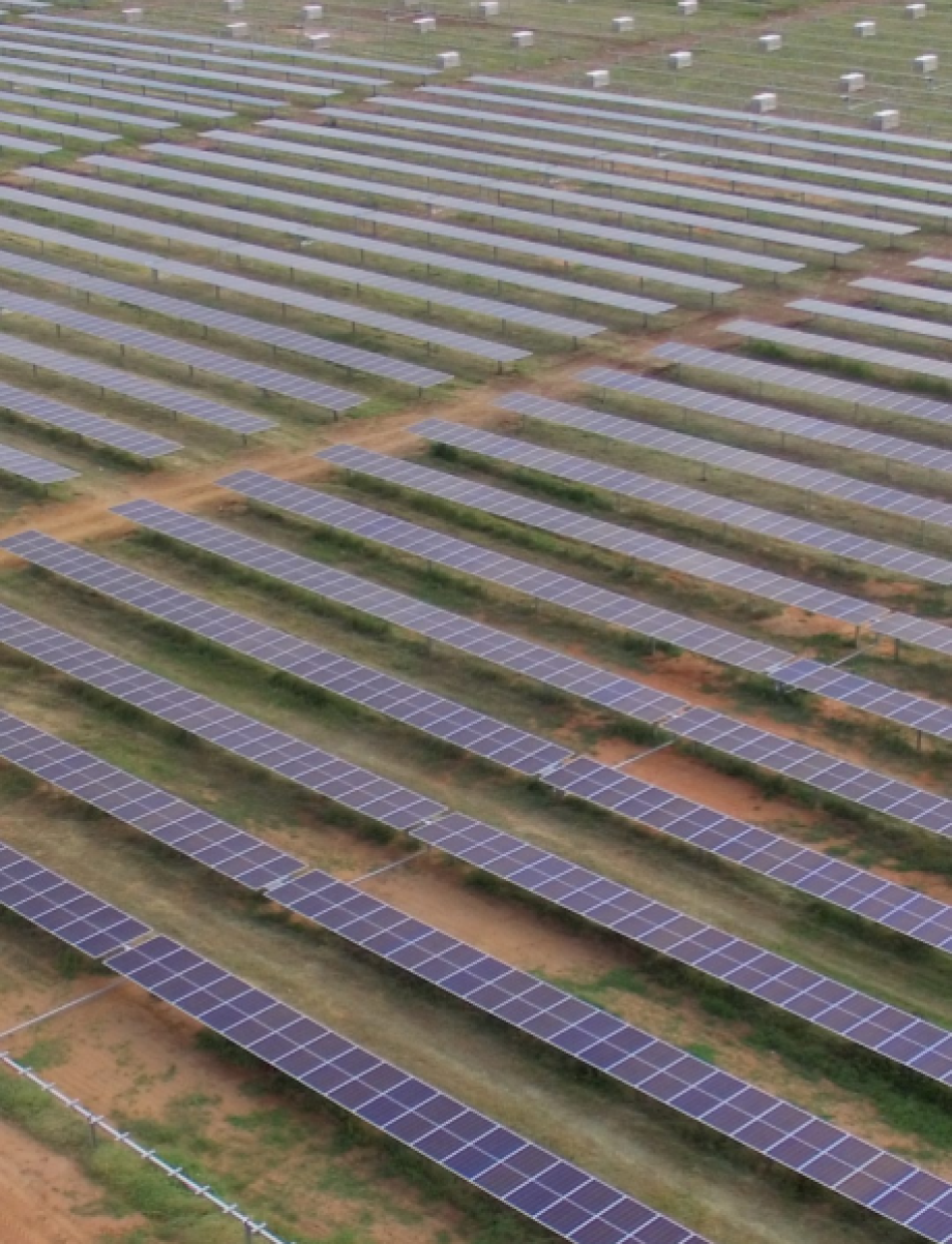Obra Parque Solar Br�gida est� em ritmo acelerado de execu��o